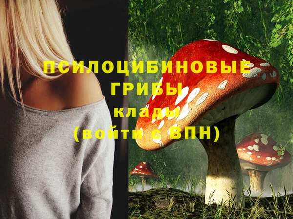прущие грибы Арсеньев