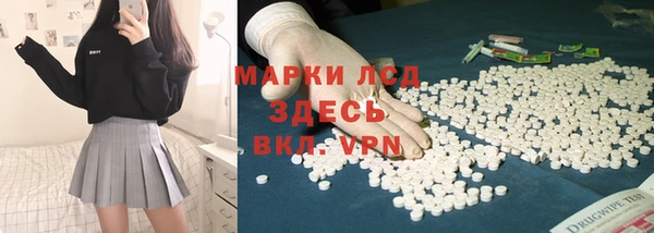 прущие грибы Арсеньев