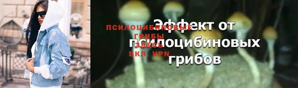 прущие грибы Арсеньев