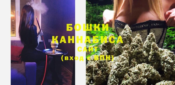 прущие грибы Арсеньев