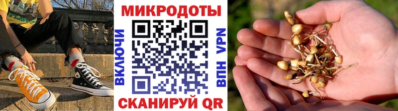 Галлюциногенные грибы мухоморы  Дюртюли 