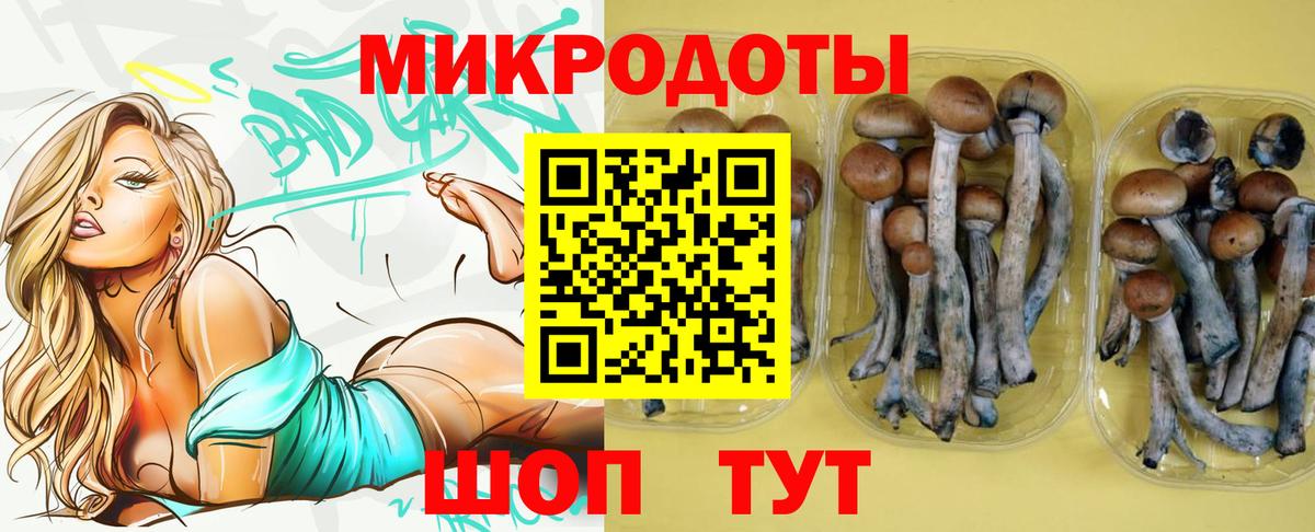 купить наркотики цена  Вход с VPN  Дюртюли  Галлюциногенные грибы GOLDEN TEACHER 